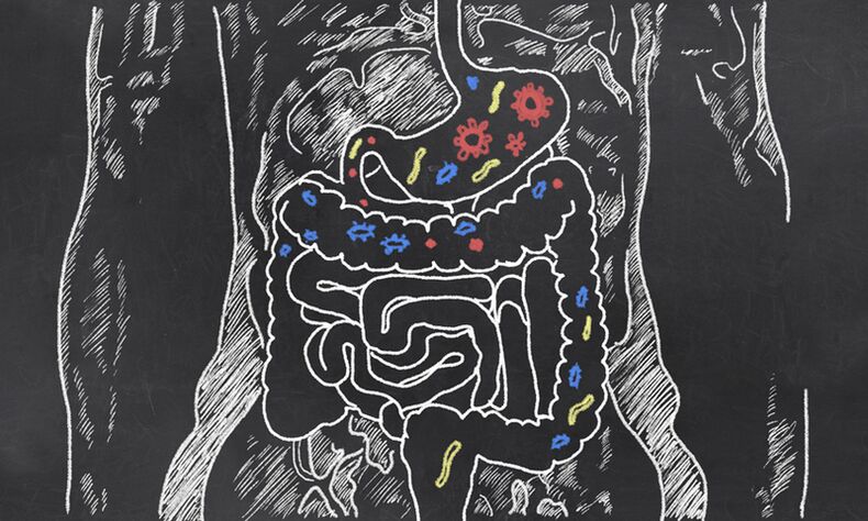 Bir kişinin gastrointestinal sistemindeki parazitler