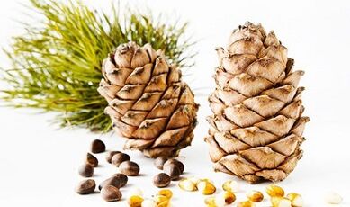 Vücuttan parazitleri çıkarmak için sedir fındık